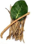 Madar Wood for Puja